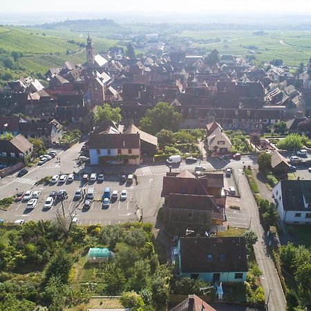 Appartamento MUSCAT - Coquet 2 pièces au pied du vignoble Riquewihr Esterno foto