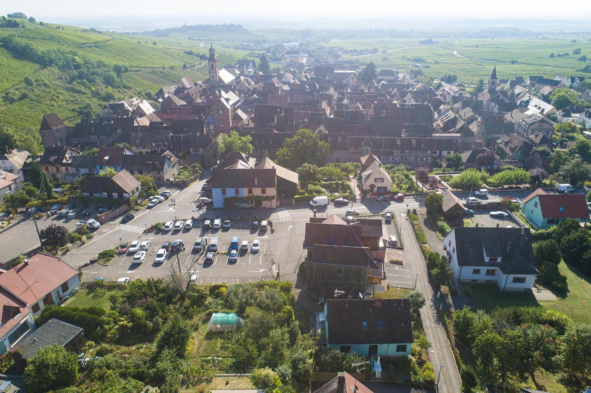 Appartamento MUSCAT - Coquet 2 pièces au pied du vignoble Riquewihr Esterno foto